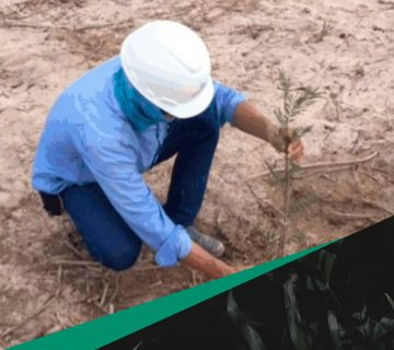 SS-PROJETOS-ATUA-NA-IMPLANTAÇÃO-DO-PRAD-NA-REGIÃO-DE-UBAJARA-ss-projetos-tecnicos-fortaleza-ceara